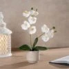 Artificial Real Touch Mini Phalaenopsis Orchid In Cement Plant Pot -Dunelm Store 30958184