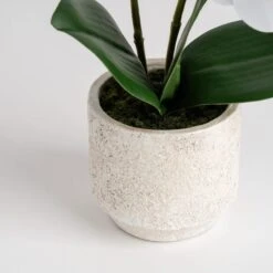 Artificial Real Touch Mini Phalaenopsis Orchid In Cement Plant Pot -Dunelm Store 30958184 alt03