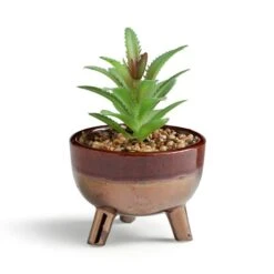 Artificial Succulents In Brown Glazed Footed Plant Pot -Dunelm Store 30958613 alt02
