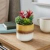 Artificial Succulents In Yellow Stripe Glazed Plant Pot