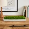 Artificial Moss In Cement Tray -Dunelm Store 30965091
