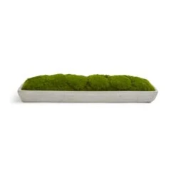 Artificial Moss In Cement Tray -Dunelm Store 30965091 alt02